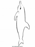 disegni_animali/acquatici/delfino_1.JPG