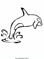 disegni_animali/acquatici/delfino_4.JPG