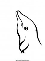 disegni_animali/acquatici/delfino_7.JPG