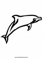 disegni_animali/acquatici/delfino_8.JPG