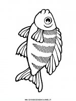 disegni_animali/acquatici/pesci_02.JPG