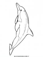 disegni_animali/acquatici/pesci_05.JPG