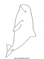 disegni_animali/acquatici/pesci_06.JPG