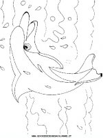 disegni_animali/acquatici/pesci_26.JPG