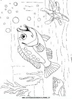 disegni_animali/acquatici/pesci_34.JPG