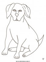 disegni_animali/cane/cane_33.JPG