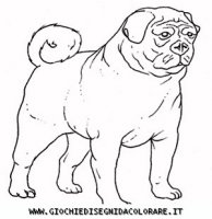 disegni_animali/cane/cane_c0008.JPG