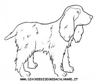 disegni_animali/cane/cane_c0011.JPG