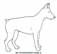disegni_animali/cane/cane_c0013.JPG