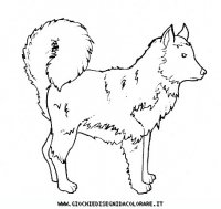 disegni_animali/cane/cane_c0015.JPG