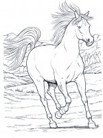 disegni_animali/cavallo/cavallo_9.jpg