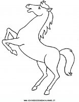 disegni_animali/cavallo/cavallo_cavalli_29.JPG