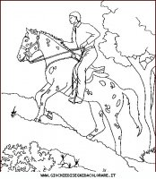 disegni_animali/cavallo/cavallo_cavalli_33.JPG