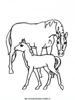disegni_animali/cavallo/cavallo_cavalli_55.JPG