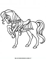 disegni_animali/cavallo/cavallo_cavalli_6.JPG