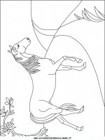 disegni_animali/cavallo/cavallo_cavalli_89.JPG