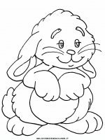 disegni_animali/coniglio/coniglio_1.JPG