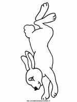 disegni_animali/coniglio/coniglio_2.JPG