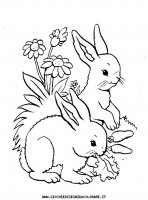 disegni_animali/coniglio/coniglio_a4.JPG