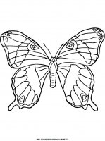 disegni_animali/farfalla/butterfly02.JPG