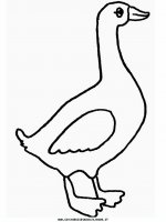 disegni_animali/fattoria/goose.JPG
