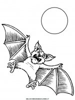 disegni_animali/pipistrello/pipistrelli_1.JPG