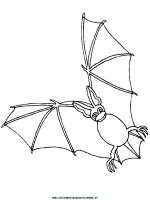 disegni_animali/pipistrello/pipistrelli_4.JPG