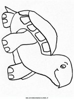 disegni_animali/tartaruga/tartaruga_1.JPG