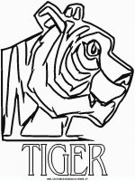 disegni_animali/tigre/tigre_5.JPG