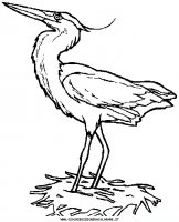 disegni_animali/uccelli/heron.JPG