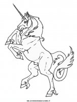 disegni_animali/unicorno/unicorno_3.JPG