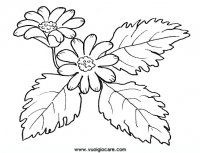 disegni_natura/fiori/anemone.JPG