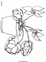 disegni_natura/fiori/fiori_33.JPG