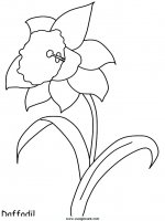 disegni_natura/fiori/fiori_35.JPG