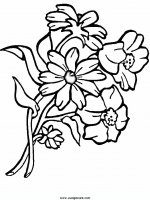 disegni_natura/fiori/fiori_45.JPG