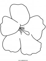 disegni_natura/fiori/fiori_60.JPG