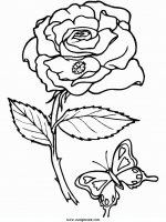 disegni_natura/fiori/fiori_9.JPG