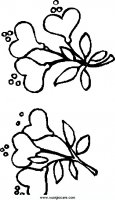 disegni_natura/fiori/flower2.JPG