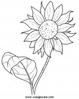 disegni_natura/fiori/girasole9650.JPG