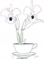 disegni_natura/fiori/orchid.JPG