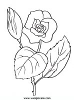 disegni_natura/fiori/rosa.JPG