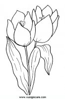disegni_natura/fiori/tulipano.JPG
