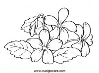 disegni_natura/fiori/viola.JPG