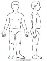 disegni_scienze/corpo_umano/corpoumano9650.JPG