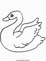 disegni_animali/acquatici/cigno_2.JPG