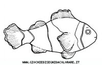 disegni_animali/acquatici/clownfish.JPG