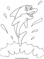 disegni_animali/acquatici/dolphin.JPG