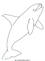 disegni_animali/acquatici/pesci_07.JPG