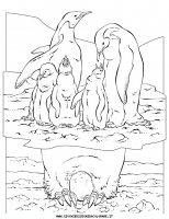 disegni_animali/acquatici/pesci_19.JPG