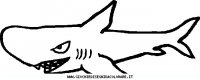 disegni_animali/acquatici/stampaa375.JPG